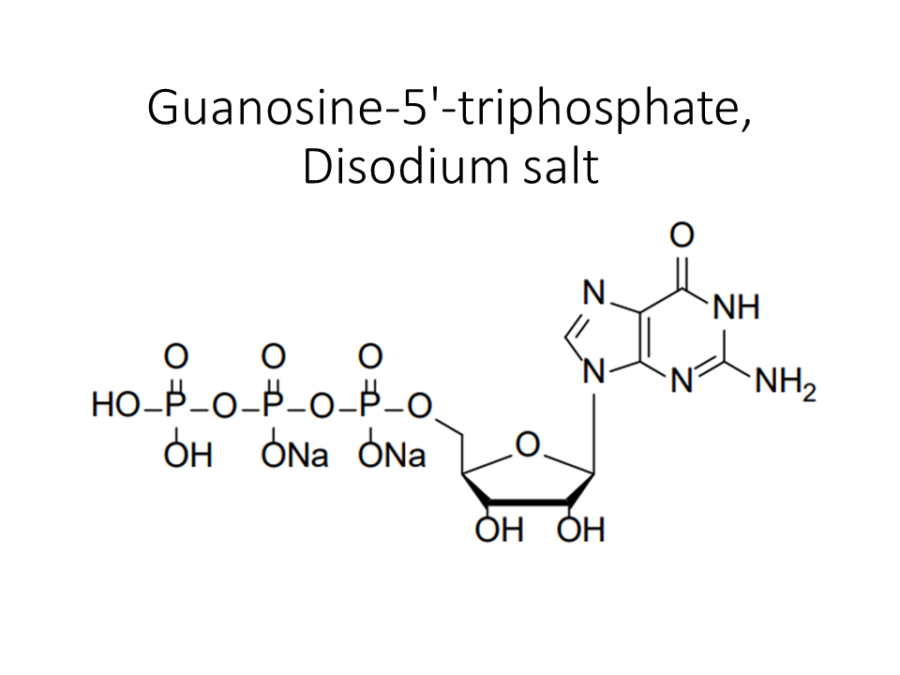 guanosine-5-triphosphate-disodium-salt