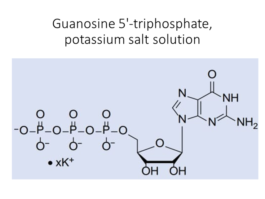 guanosine-5-triphosphate-potassium-salt-solution