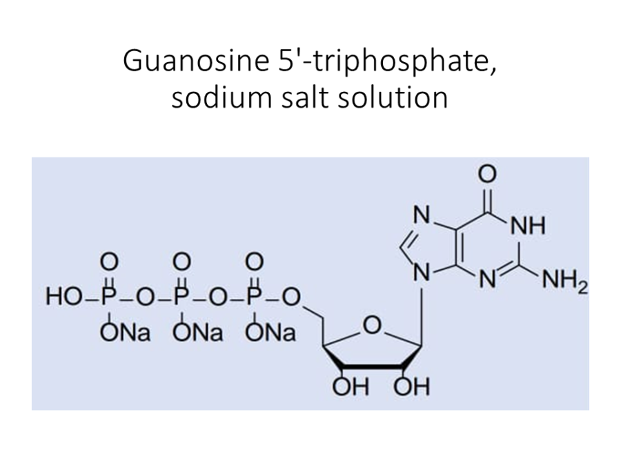 guanosine-5-triphosphate-sodium-salt-solution