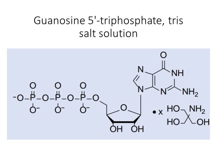 guanosine-5-triphosphate-tris-salt-solution