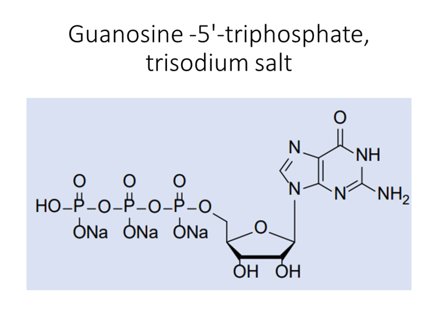 guanosine-5-triphosphate-trisodium-salt