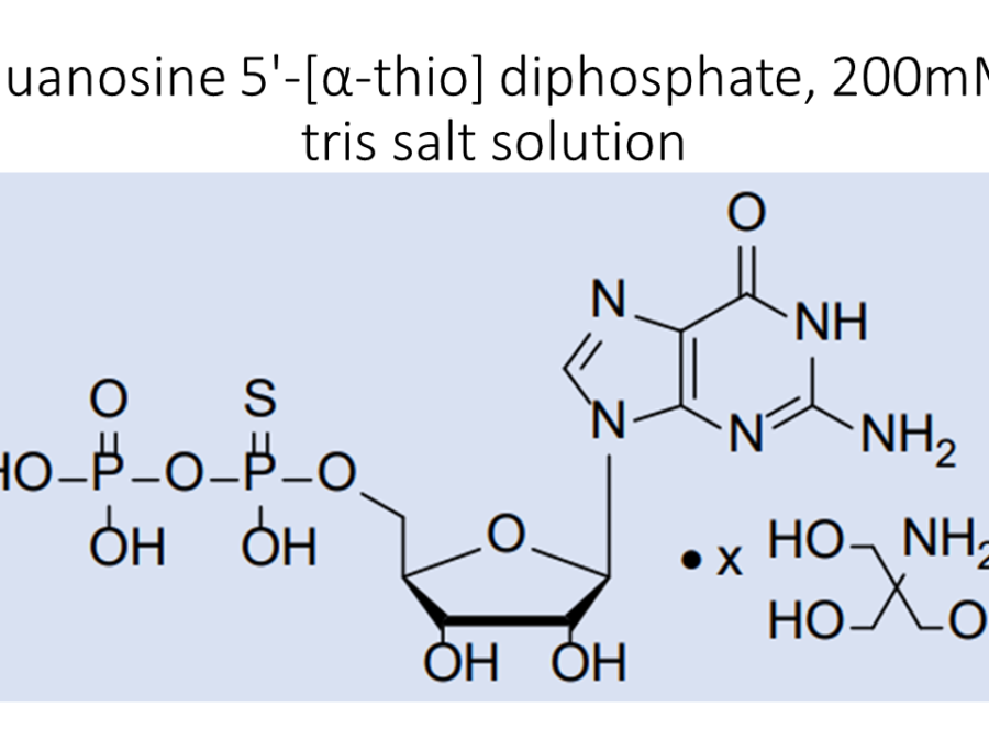 guanosine-5-%ce%b1-thio-diphosphate-200mm-tris-salt-solution