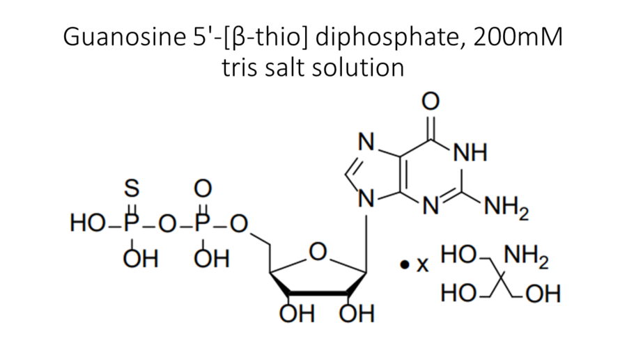 guanosine-5-%ce%b2-thio-diphosphate-200mm-tris-salt-solution