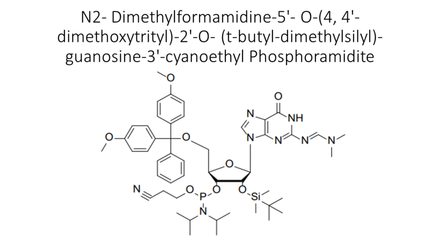 n2-dimethylformamidine-5-o-4-4-dimethoxytrityl-2-o-t-butyl-dimethylsilyl-guanosine-3-cyanoethyl-phosphoramidite