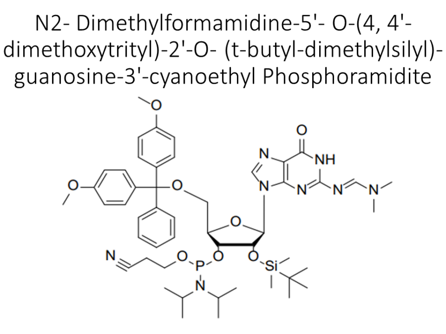 n2-dimethylformamidine-5-o-4-4-dimethoxytrityl-2-o-t-butyl-dimethylsilyl-guanosine-3-cyanoethyl-phosphoramidite