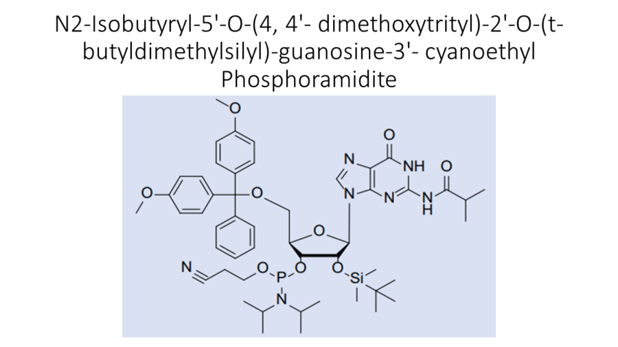 n2-isobutyryl-5-o-4-4-dimethoxytrityl-2-o-t-butyldimethylsilyl-guanosine-3-cyanoethyl-phosphoramidite