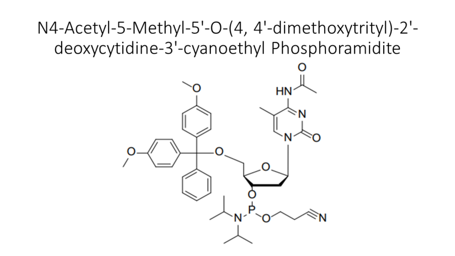 n4-acetyl-5-methyl-5-o-4-4-dimethoxytrityl-2-deoxycytidine-3-cyanoethyl-phosphoramidite
