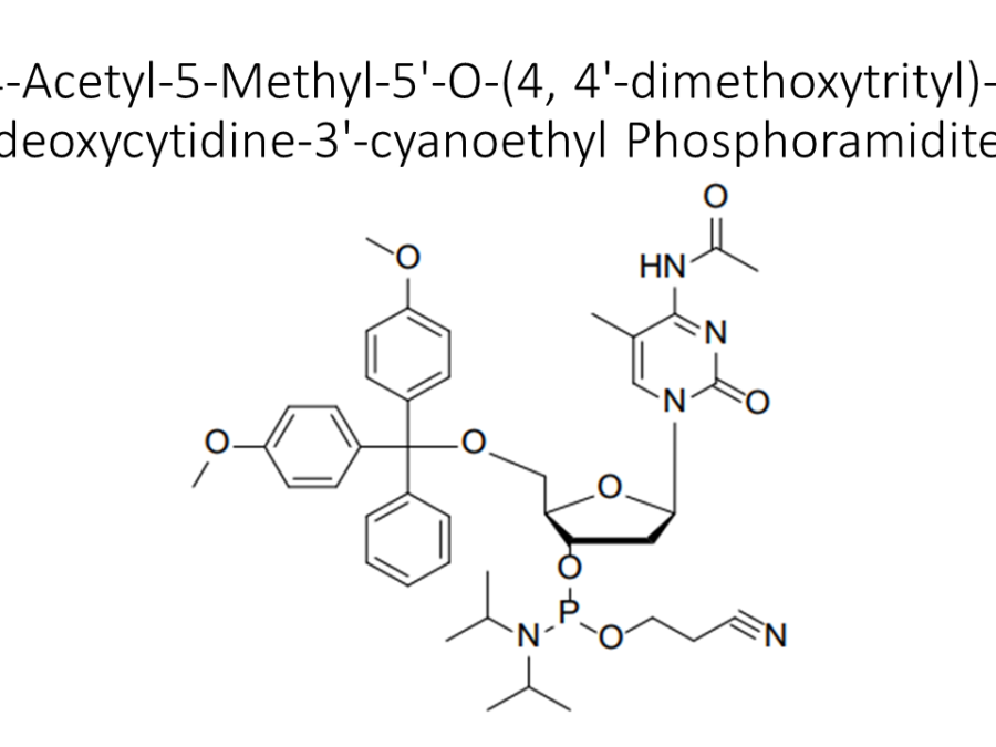 n4-acetyl-5-methyl-5-o-4-4-dimethoxytrityl-2-deoxycytidine-3-cyanoethyl-phosphoramidite