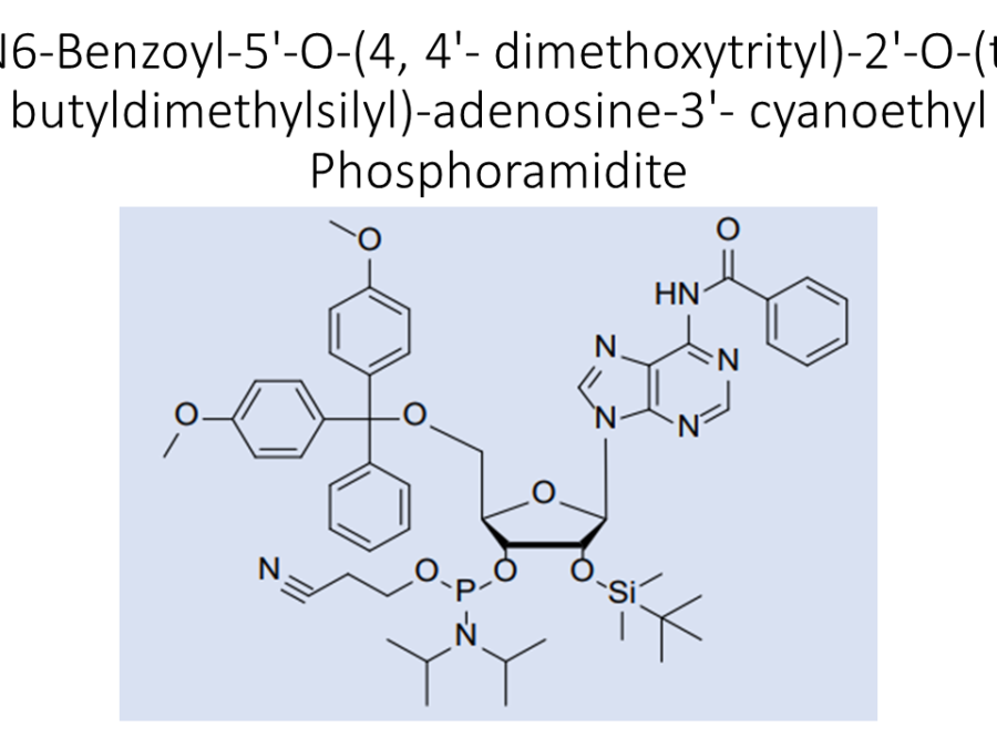 n6-benzoyl-5-o-4-4-dimethoxytrityl-2-o-t-butyldimethylsilyl-adenosine-3-cyanoethyl-phosphoramidite