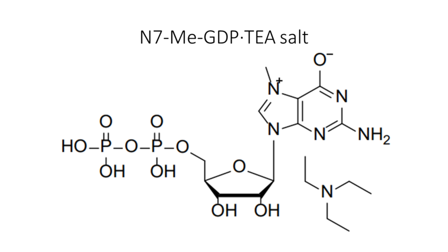 n7-me-gdp%c2%b7tea-salt