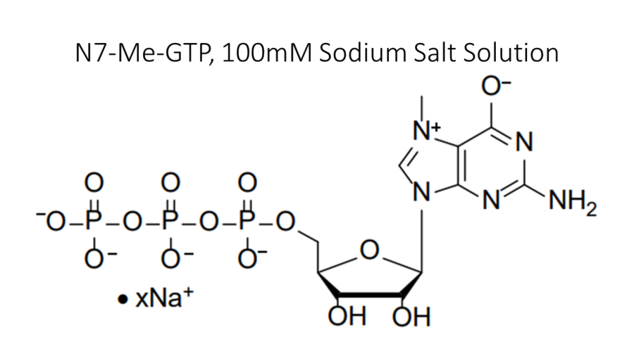 n7-me-gtp-100mm-sodium-salt-solution