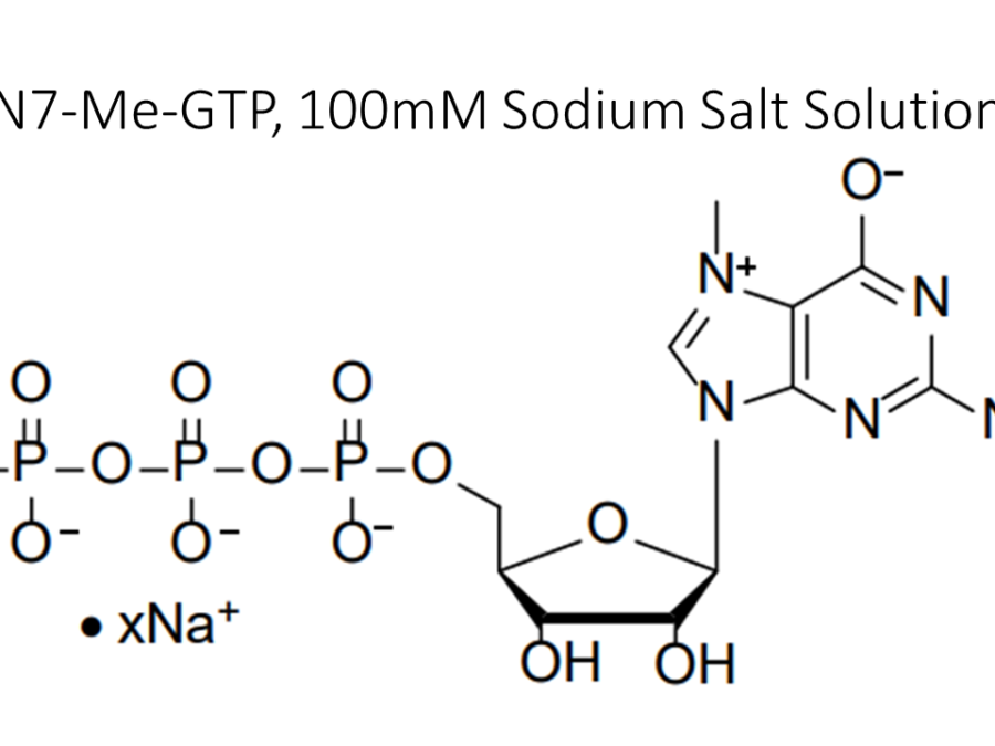 n7-me-gtp-100mm-sodium-salt-solution