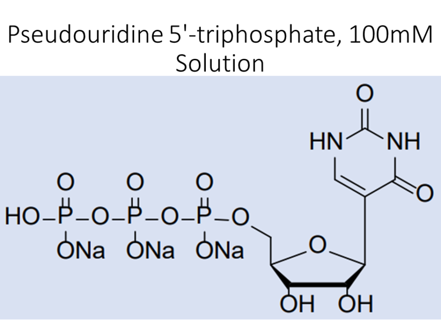 pseudouridine-5-triphosphate-100mm-solution