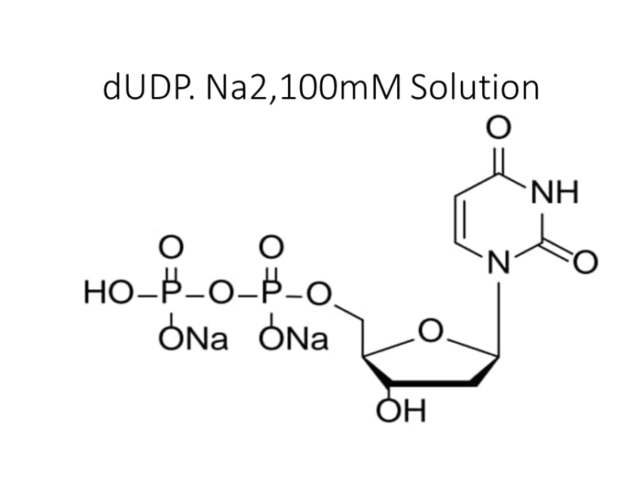 dudp-na2100mm-solution
