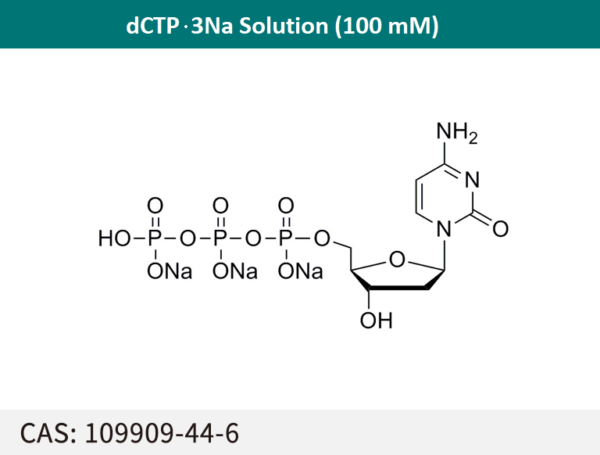 dCTP sodium solution