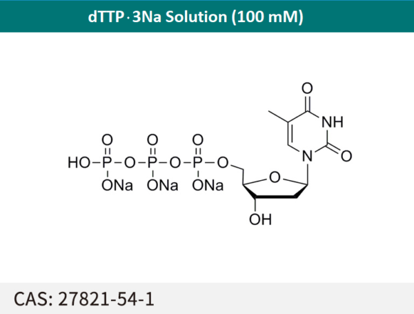 dTTP sodium solution