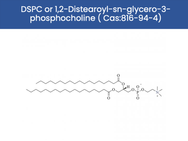 DSPC or 1,2-Distearoyl-sn-glycero-3-phosphocholine ( Cas:816-94-4)